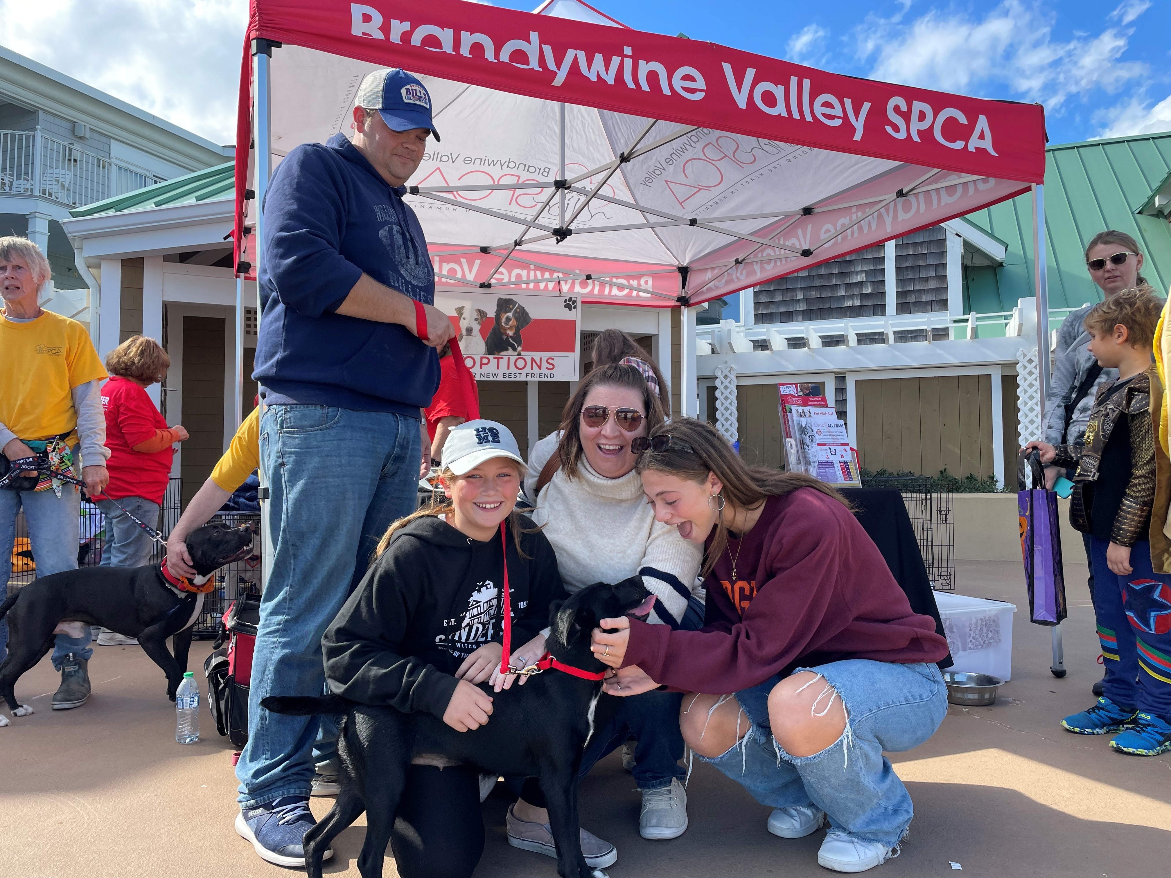 Wags, Witches & Warlocks 2024